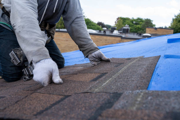 Quick and Trustworthy Emergency Roof Repair Services in Steelville, MO