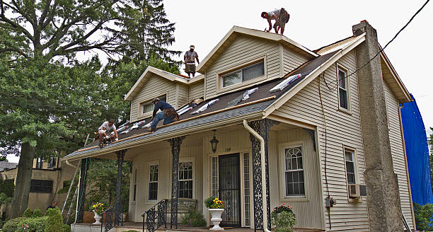 Best Metal Roofing Contractor  in Steelville, MO