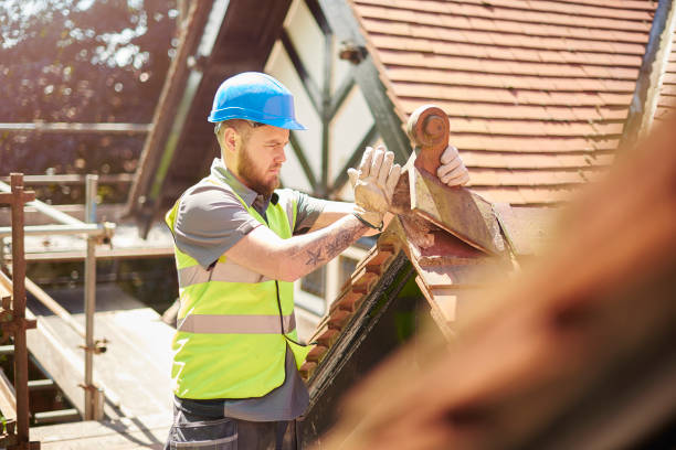 Best Roof Gutter Cleaning  in Steelville, MO